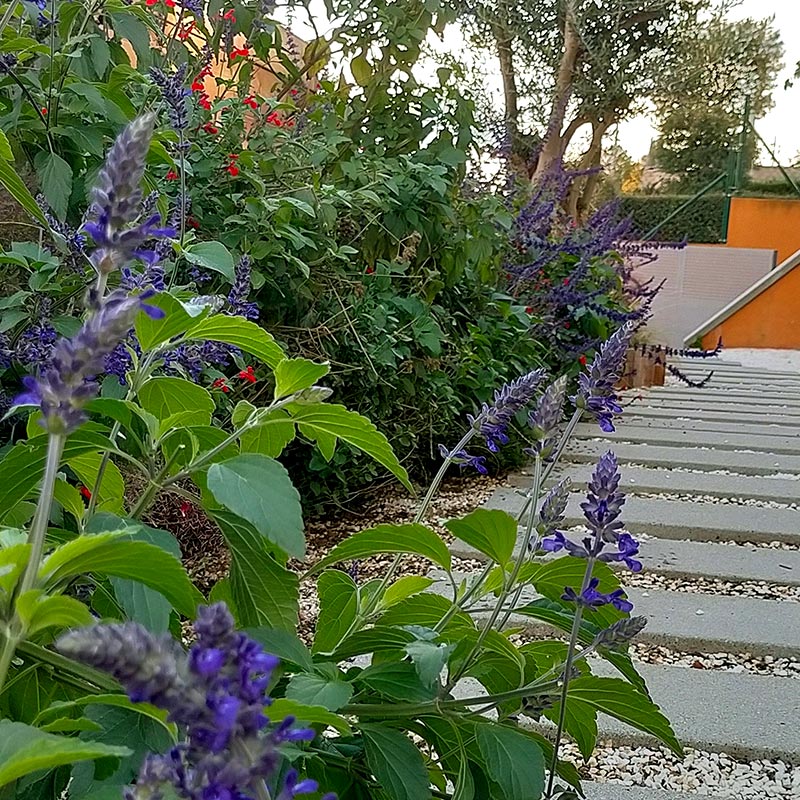 Jardins Sostenibles