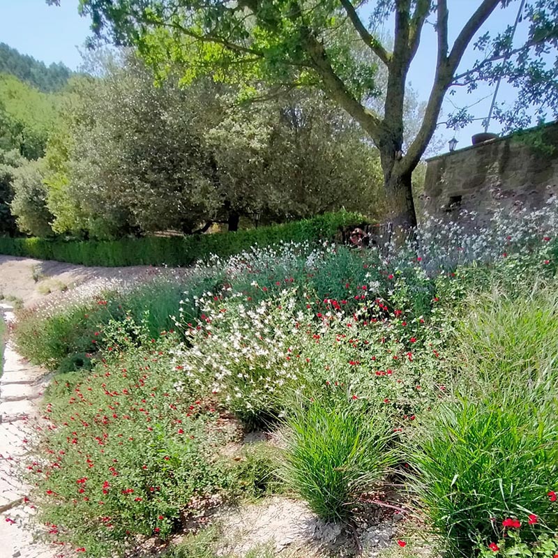 Jardins Sostenibles